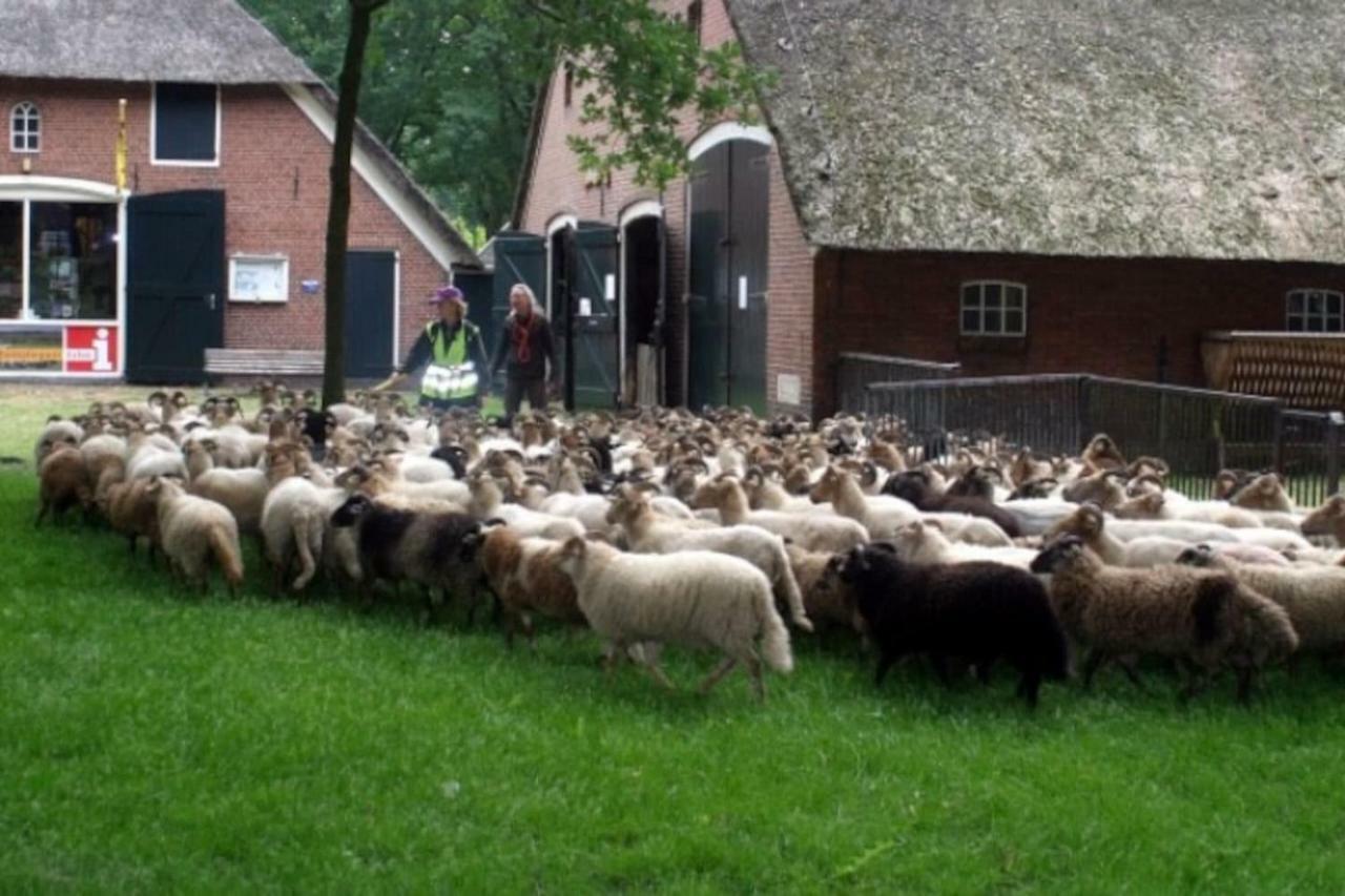 Huisje Exloo Exteriér fotografie