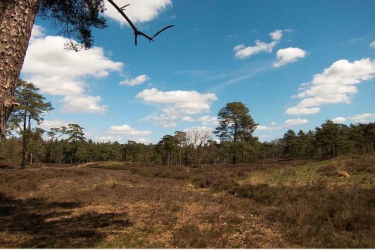 Huisje Exloo Exteriér fotografie