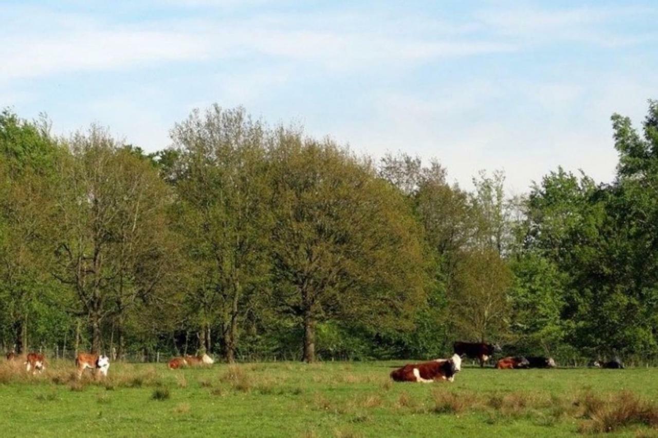 Huisje Exloo Exteriér fotografie